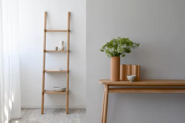 City Ladder Shelves